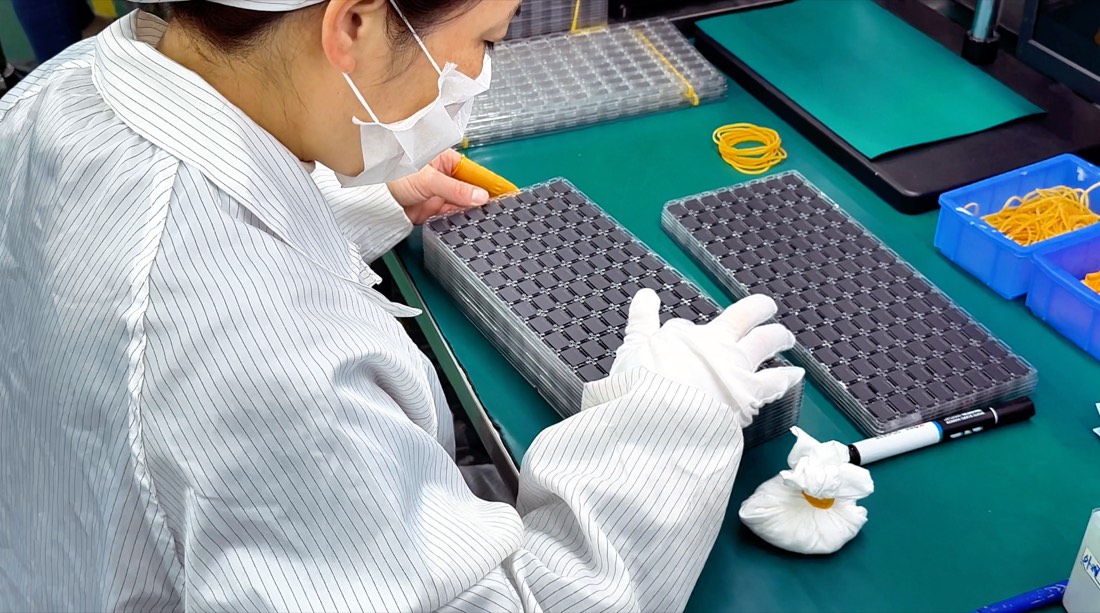 Clean-room chip inspection